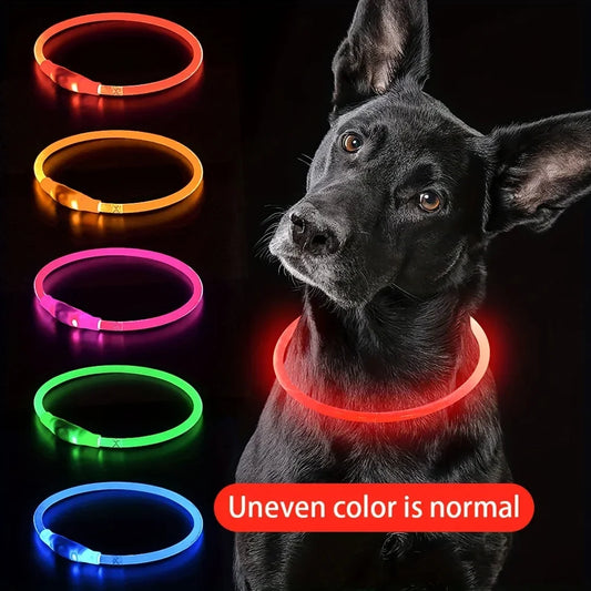 LED Dog Collar – USB Rechargeable, Luminous Anti-Lost Pet Necklace