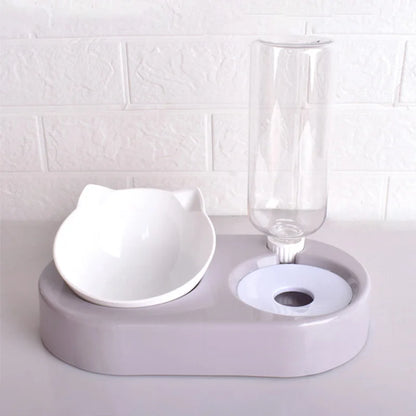 2-in-1 Dog Bowl & Cat Feeder with Automatic Water Bottle
